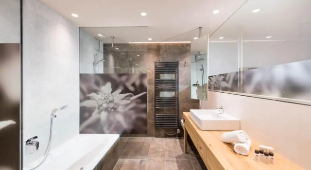 Полулюкс с видом на горы Living & Spa Vitalhotel Edelweiss
