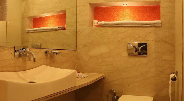 Номер Deluxe Hotel Livasa Inn