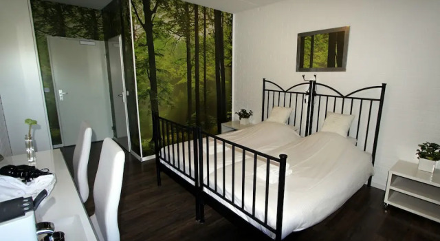 Номер Standard Hotel Buxus