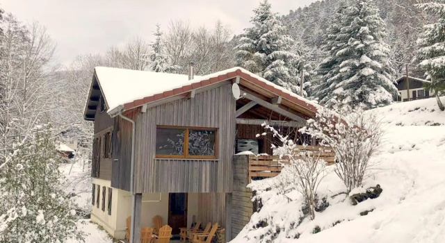 Chalet La Bresse, 5 pièces, 11 personnes - FR-1-589-86, Book Chalet Sommerhuse i Alsace, Hytte