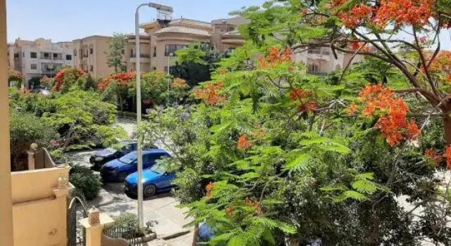 Small Friendly Apart in a Villa - New Cairo, Prenota Villa Cottage a Cairo Governorate, Cottage