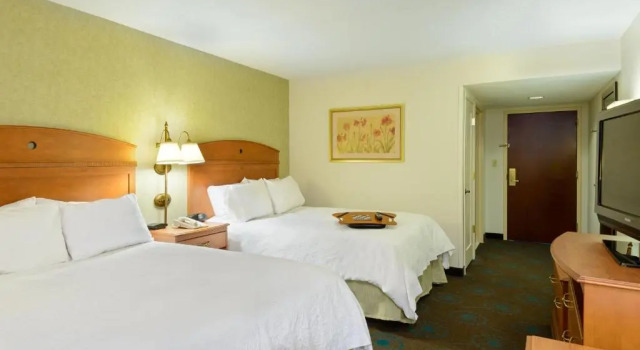 Четырёхместный номер Standard Hampton Inn Mt Vernon