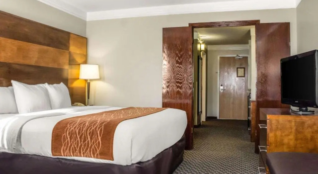 Номер Standard Comfort Inn & Suites Durango