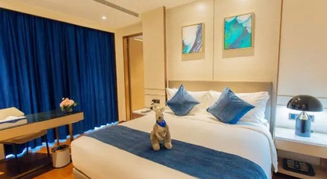 Люкс Deluxe The Zealandia Hotel
