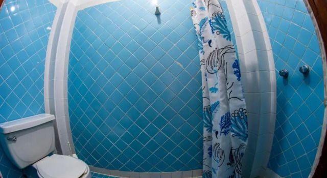 Номер Standard Hotel Delfin