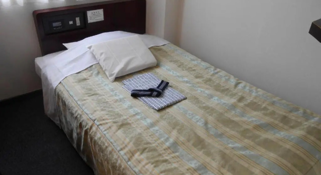 Одноместный номер Standard Niigata Terminal Hotel