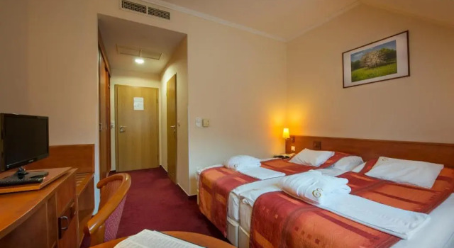 Номер Comfort Erzsébet Park Hotel