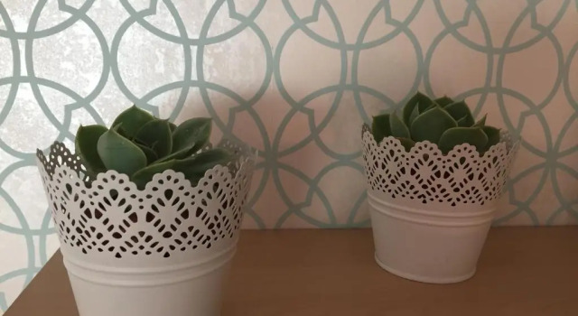 Коттедж Apartamentos Turísticos Casa Roque