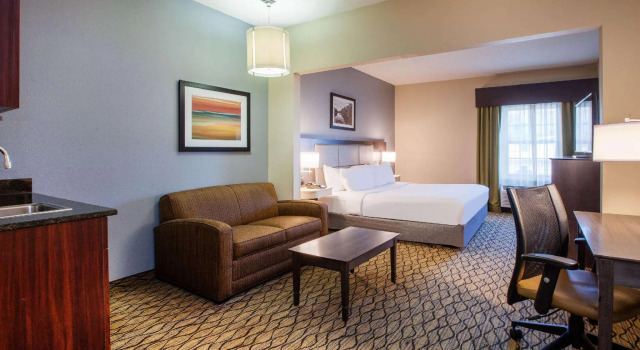 Двухместный люкс Wingate by Wyndham Roseville/Detroit
