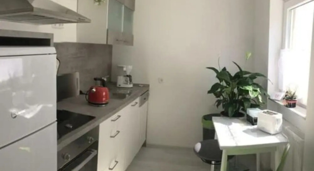 Апартаменты Apartment at the Edge of the Forest