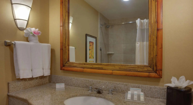 Двухместный номер Standard Hilton Garden Inn at PGA Village/Port St. Lucie