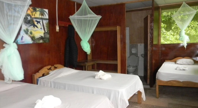 Номер Standard Jacamar Lodge Expeditions