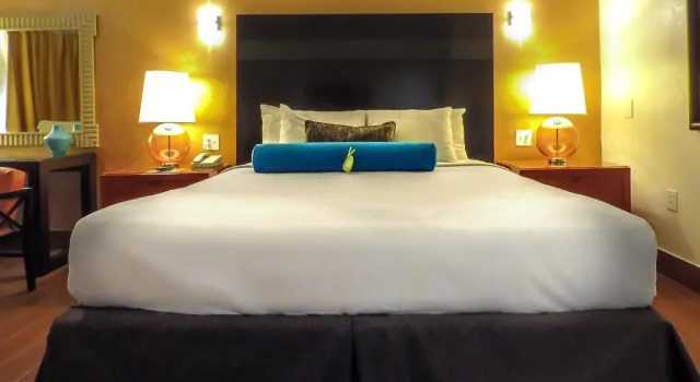 Номер Standard Adara Palm Springs