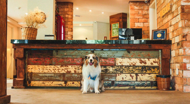 Work Hotel Design, Book Hotel Sao Leopoldo Rio Grande do Sul, near Cristo Rei Stadium