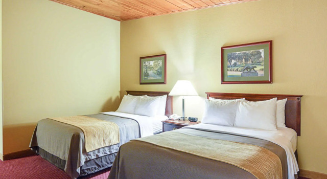 Camera quadrupla Standard Quality Inn