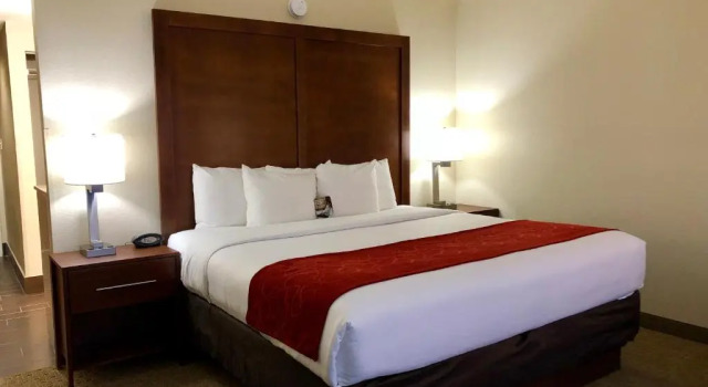 Двухместный люкс Vista Suites Near Island and Leconte Convention Center