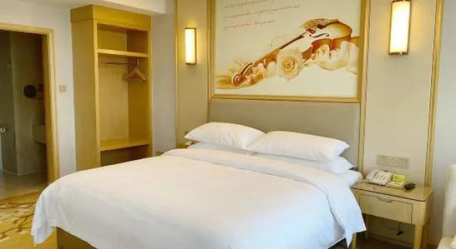 Люкс Deluxe Vienna International Hotel (Chenzhou Guoqing South Road)