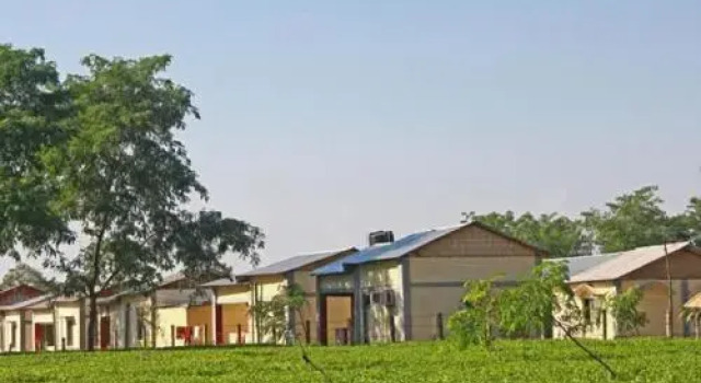 Mystic resort amidst Tea Garden