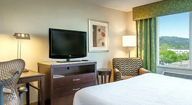 Standard- juniorsuite Hilton Garden Inn Seattle/Bothell