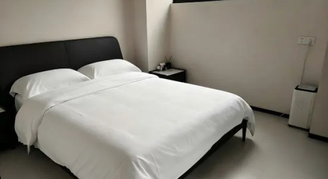 Люкс Ruyi ROY·Yuan Art Museum Homestay (Beijing Shuicheng Great Wall Branch)