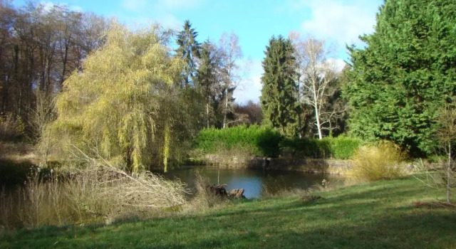 Коттедж Nid dans la forêt