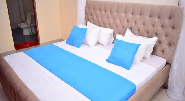 Люкс Executive Great house BnB near jkia