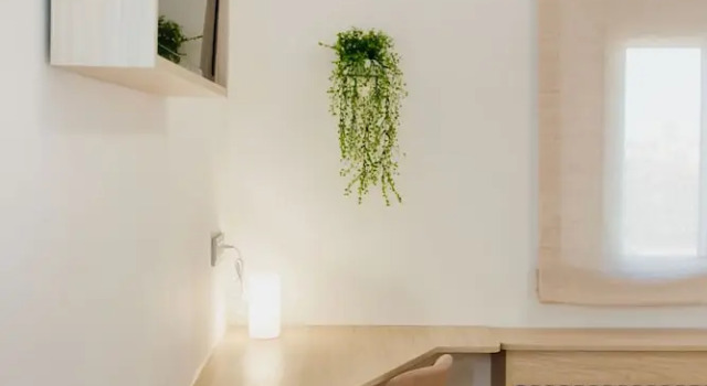 Апартаменты Casa Felizia