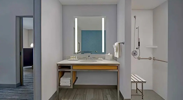 Двухместный Corner Suite Mobility Accessible with Roll-In Shower Hilton Garden Inn Houston Medical Center, TX