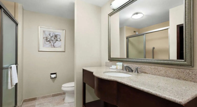 Люкс Hampton Inn & Suites Brunswick