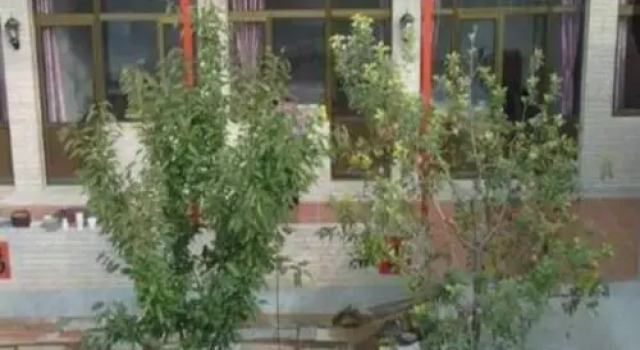 Beijing Village Home Stay, Buchen Sie Hotel Peking Umgebung von Peking
