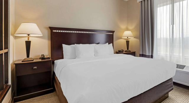 Двухместный люкс Comfort Suites Palestine