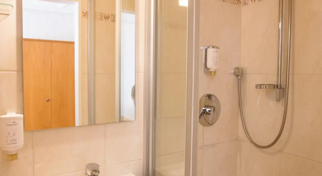 Двухместный номер Standard Hotel-Gasthof Goldener Greifen
