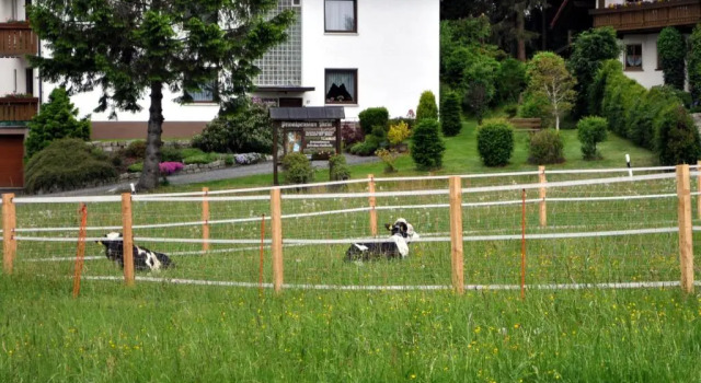 Коттедж Ferienhaus Müller