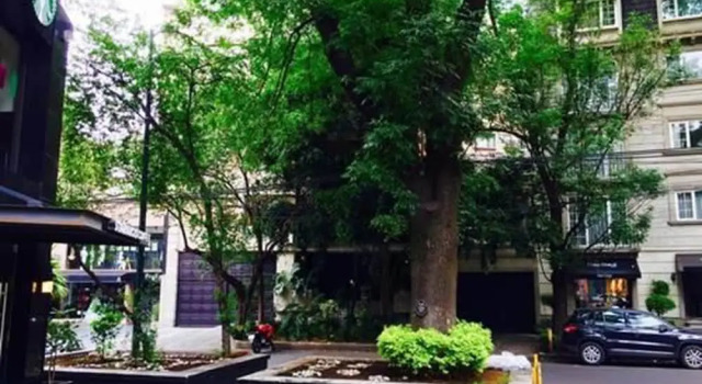 Departamento Premium Polanco