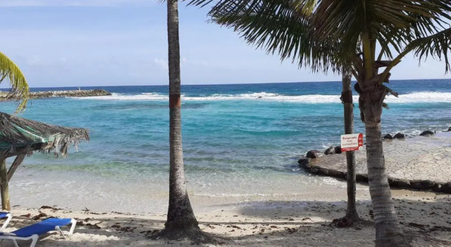 Студия Le Studio les Tropiques à l'HOTEL le MANGANAO 3 étoiles