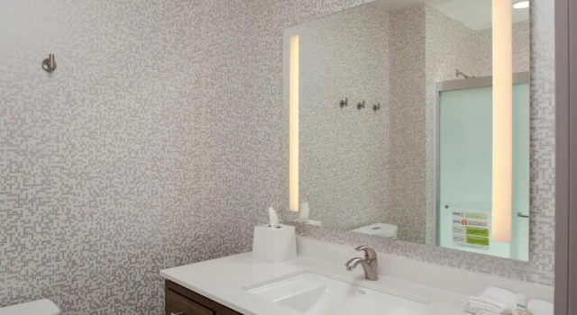 Двухместный люкс c 1 комнатой Home2 Suites By Hilton Denver South Centennial Airport