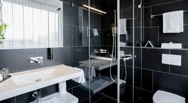 Двухместный номер Comfort Mercure Chur City West