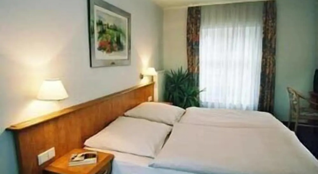 Одноместный номер Standard Мансарда Hotel Restaurant Doppeladler
