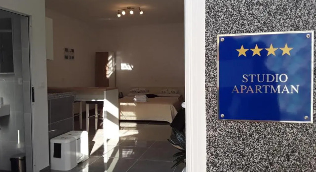 Студия Apartments Flora