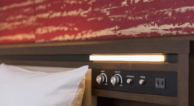 Двухместный номер Superior Отель MyStays Kyoto Shijo