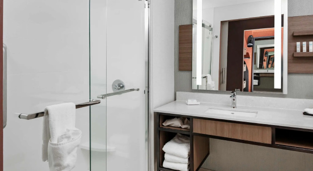 Четырёхместный номер Standard Hilton Garden Inn Chandler Downtown
