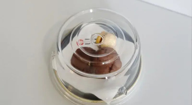 Люкс Cela Boutique Hotel