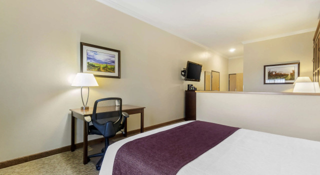 Четырёхместный номер Standard Best Western Plus Grapevine Inn