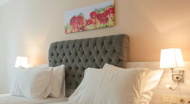 Номер Standard SeptaPark Otel