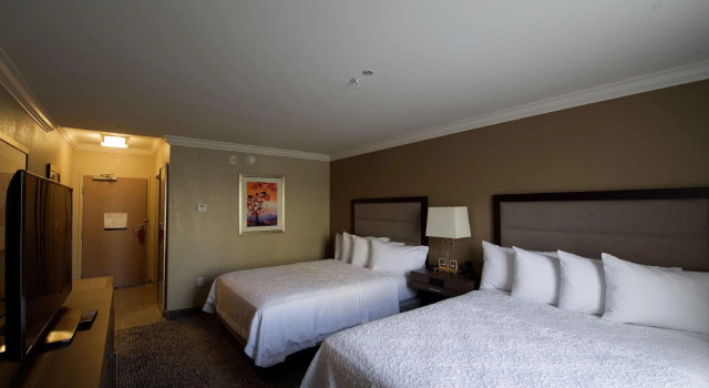 Четырёхместный номер Standard Hampton Inn & Suites Ridgeland