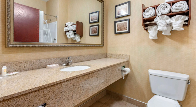 Четырёхместный люкс Comfort Suites Elkhart South