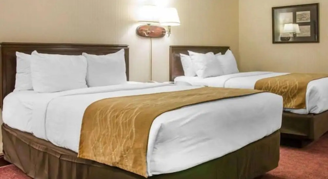Номер Standard Canberra Premiere Comfort Hotel