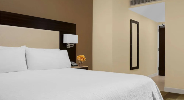 Двухместный номер с частичным видом на Таймс-сквер Hilton Garden Inn New York - Times Square Central