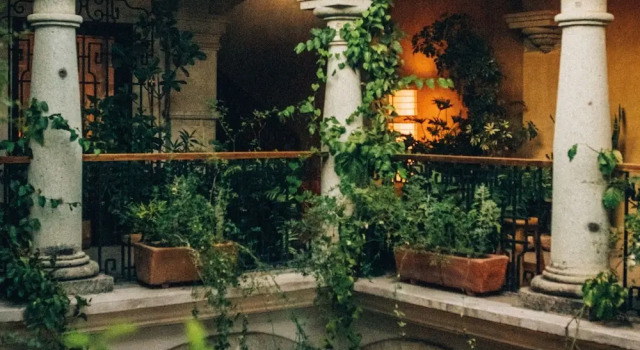 Casa Antonieta