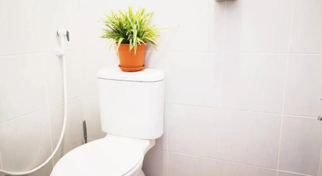 Кровать в общем номере Sunset Homestay - Backpacker Hostel Self Checkin